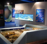 Marine and Freshwater Discovery Centre - Holiday Find