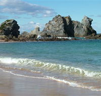 Camel Rock - Holiday Find