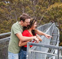 Valley of the Giants Tree Top Walk - Holiday Find