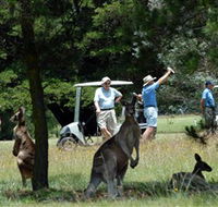 Glen Innes Golf Club - Holiday Find