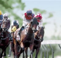 Colac Turf Club - Holiday Find