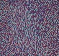 The Gate Gallery - Wollombi - Holiday Find