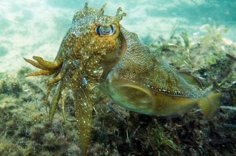 Busselton Jetty & Underwater Observatory Tour - Holiday Find 4