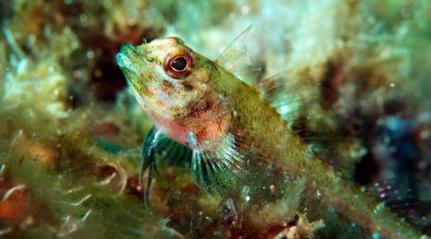 Busselton Jetty & Underwater Observatory Tour - Holiday Find 7