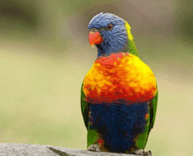 Booderee National Park - Holiday Find 1