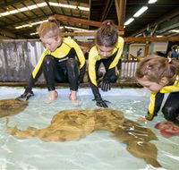 Australian Shark and Ray Centre - Holiday Find