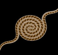 Original  Authentic Aboriginal Art - Holiday Find