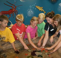 Naturaliste Marine Discovery Centre - Holiday Find