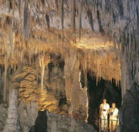Mammoth Cave - Holiday Find