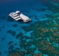Great Adventures Reef and Green Island Cruises - Holiday Find