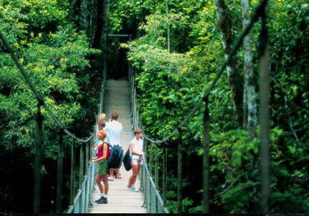 BTS Tours Pty Ltd - Holiday Find 4