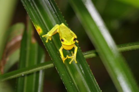 Daintree River Cruise Centre - Holiday Find 0