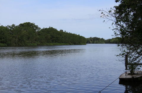 Daintree River Cruise Centre - Holiday Find 2