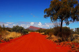 Pandanus Aboriginal Art Gallery - Holiday Find 1