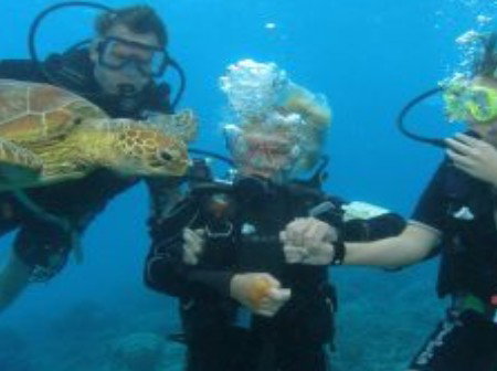 Yardarm Pty Ltd T/a Passions Of Paradise - Holiday Find 0