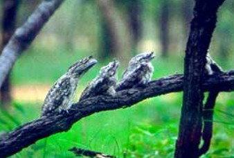 East Creek ACT Holiday Find