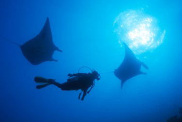 Adrenalin Snorkel And Dive - Holiday Find 1