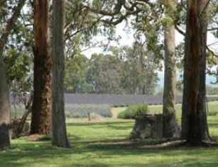 Dalcouth QLD Holiday Find