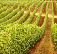 Wignalls Winery - Holiday Find