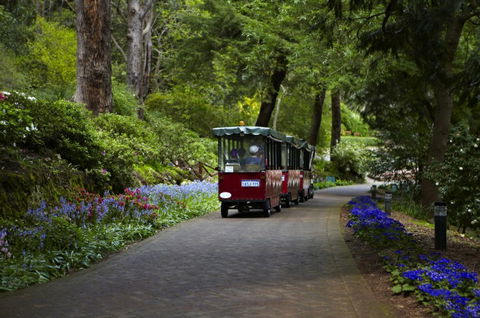 Araluen Botanic Park - Holiday Find 0