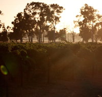 Evans  Tate - Holiday Find