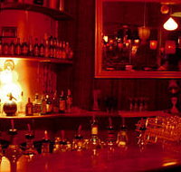 The Night Cat - Holiday Find