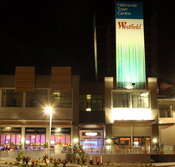 Options Tavern - Holiday Find