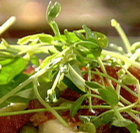 Wild Hearts Cafe Restaurant - Holiday Find