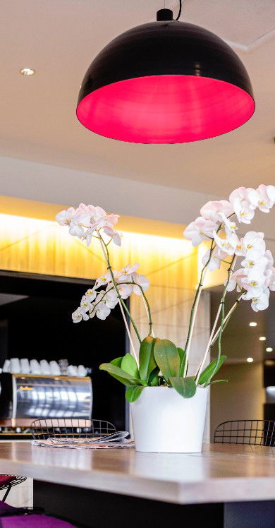 MRepublic Restaurant, Bar And Lounge - Holiday Find 4