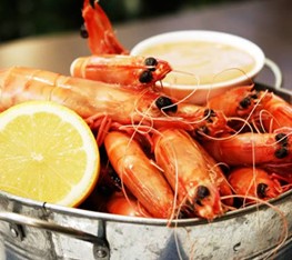 Full Moon Hotel - Moonlight Dining - Holiday Find 0