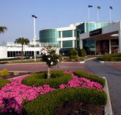 Mounties - Holiday Find