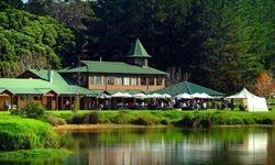 Last Drop Brewery - Holiday Find 0