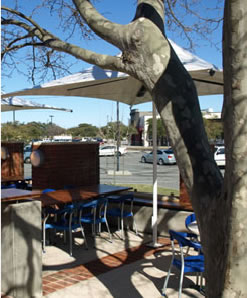 Lakers Tavern - Holiday Find 3