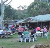 Bush Shack Brewery - Holiday Find