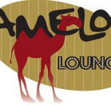 Camelot Lounge - Holiday Find