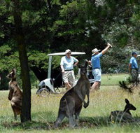 Glen Innes Golf Club - Holiday Find