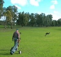 Coffin Bay Golf Club - Holiday Find