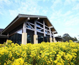 Vintage Golf Club - Holiday Find 2