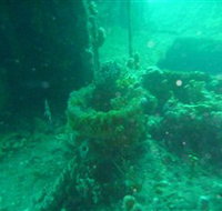 Wallaroo Scuba Club - Holiday Find