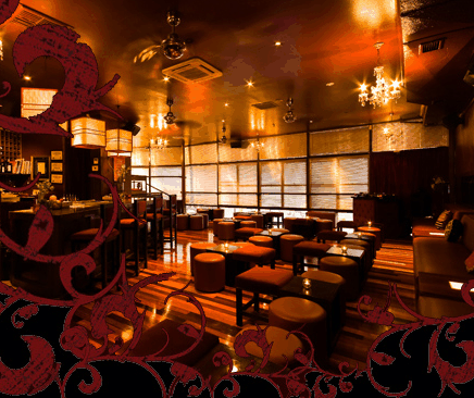Hippo Lounge Bar - Holiday Find