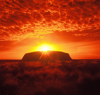 Annie's Place - Holiday Find