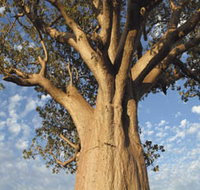 The Kimberley Grande - Holiday Find