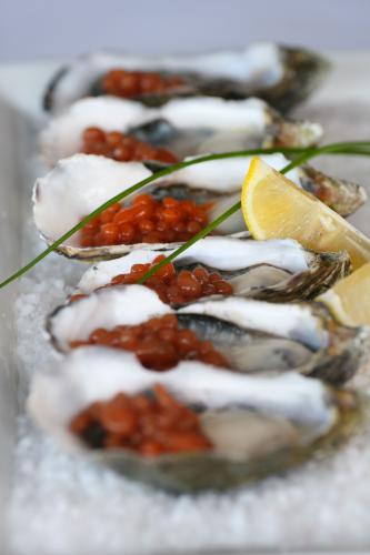 Tha Fish - Holiday Find 1