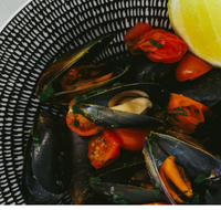 The Italian Diner - Holiday Find