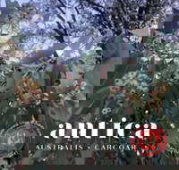 Antica Australis - Winter Fire Festival - Holiday Find