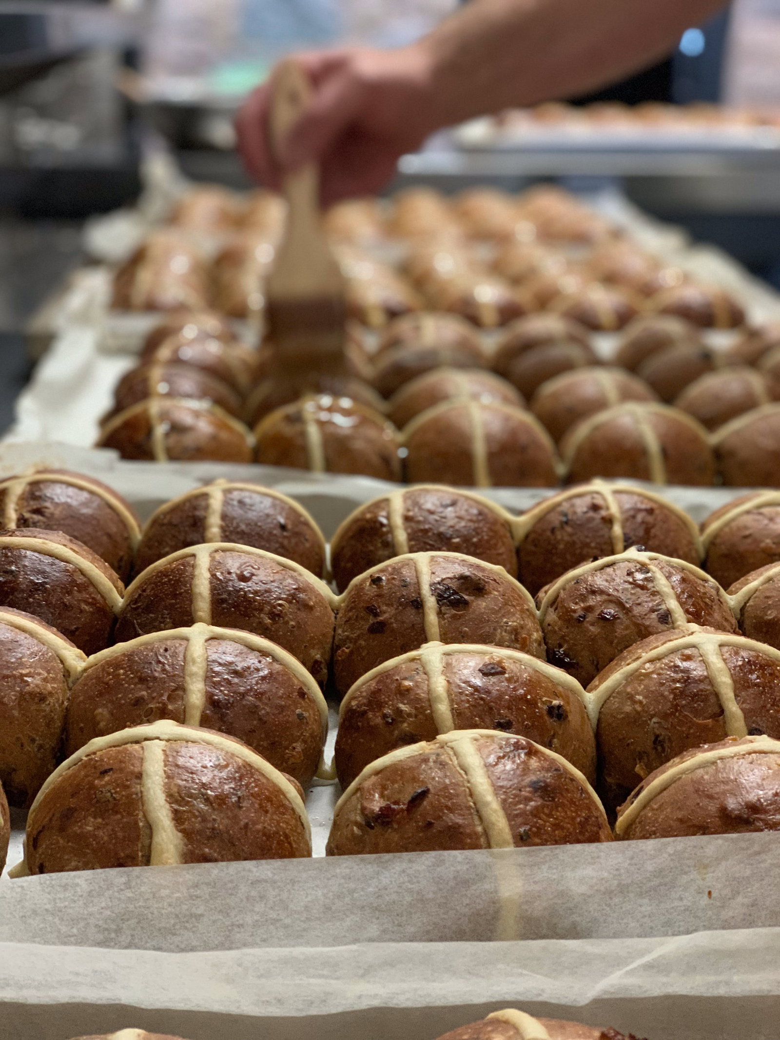 Cooneys Creek NSW Holiday Find