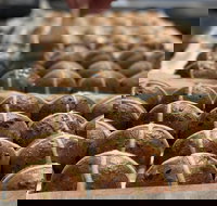 Baking - Sourdough Variations - Holiday Find