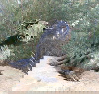 Bathurst Arts Trail - Holiday Find