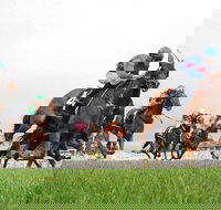 Christmas Cup Race Day - Holiday Find