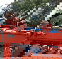 Culcairn Agricultural Show - Holiday Find